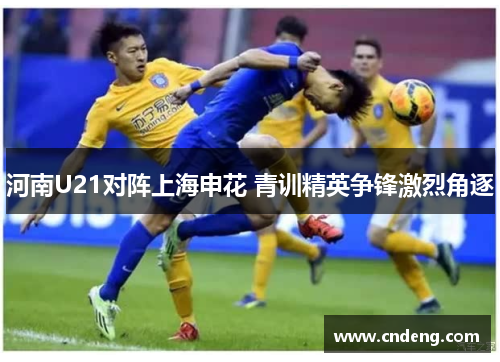 河南U21对阵上海申花 青训精英争锋激烈角逐