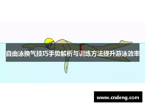 自由泳换气技巧手势解析与训练方法提升游泳效率