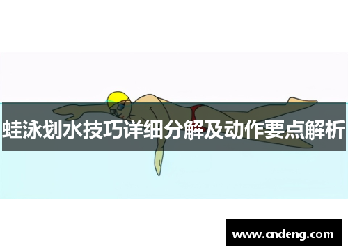 蛙泳划水技巧详细分解及动作要点解析