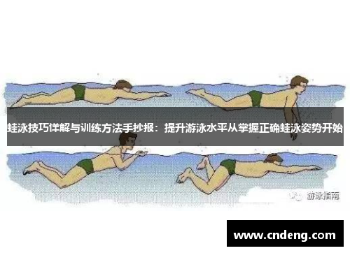 蛙泳技巧详解与训练方法手抄报：提升游泳水平从掌握正确蛙泳姿势开始